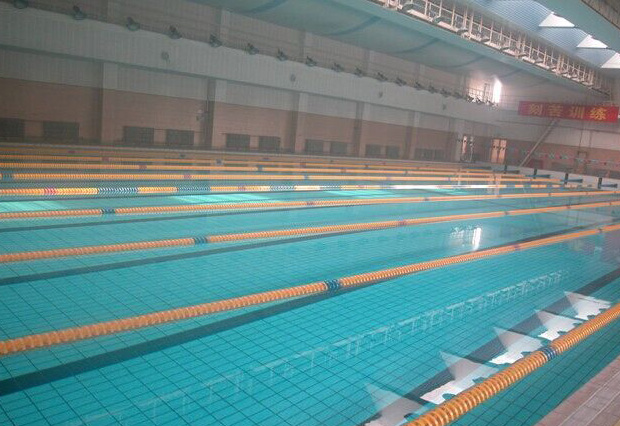 廣州珠島賓館康樂(lè)中心游泳池為室內(nèi)恒溫標(biāo)準(zhǔn)泳池，泳池水處理系統(tǒng)采用西班牙ASTRALPOOL品牌泳池設(shè)備，恒溫系統(tǒng)采用西班牙ASTRALPOOL品牌空氣源熱泵和三集一恒溫除濕一體機(jī)，我司提供技術(shù)支持及設(shè)備安裝服務(wù)。